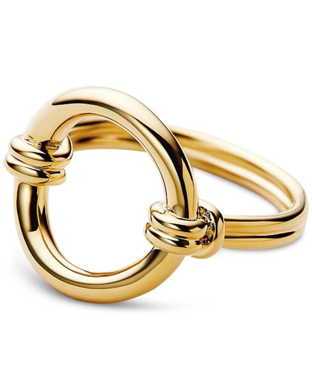 Ana Luisa Metallic Remi -plated Statement Ring