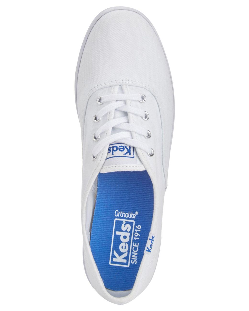 keds champion ox