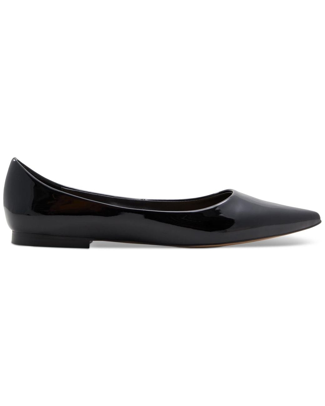 ALDO Black Stessyflat Pointed-toe Ballet Flats