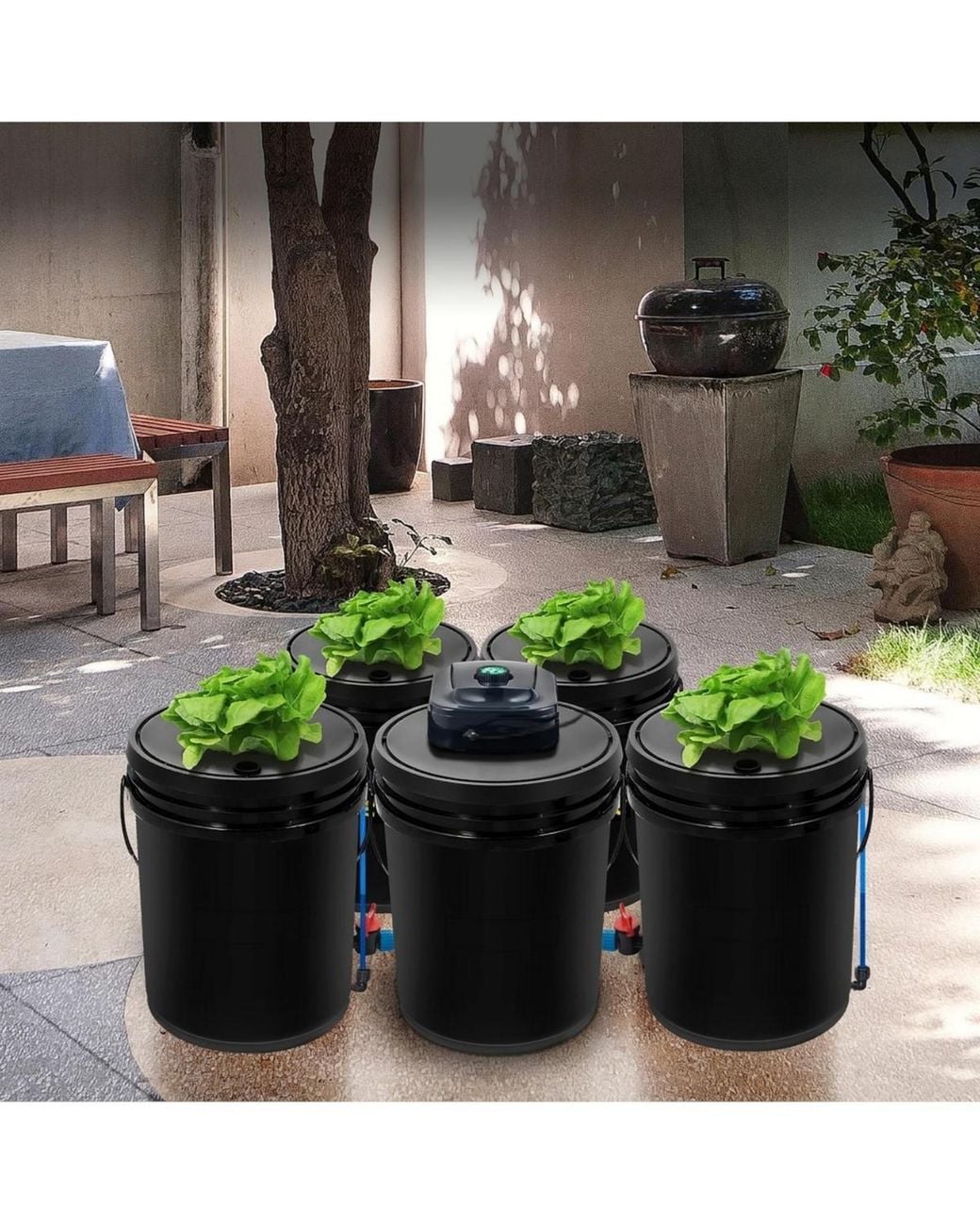 SUGIFT Black Dwc Hydroponic System
