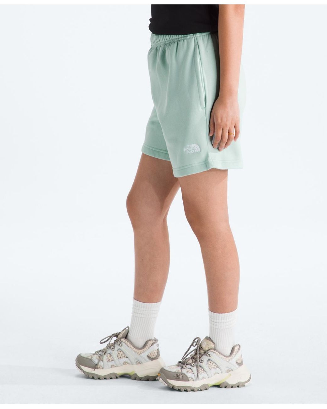 The North Face Multicolor Evolution Simple Dome Regular Shorts