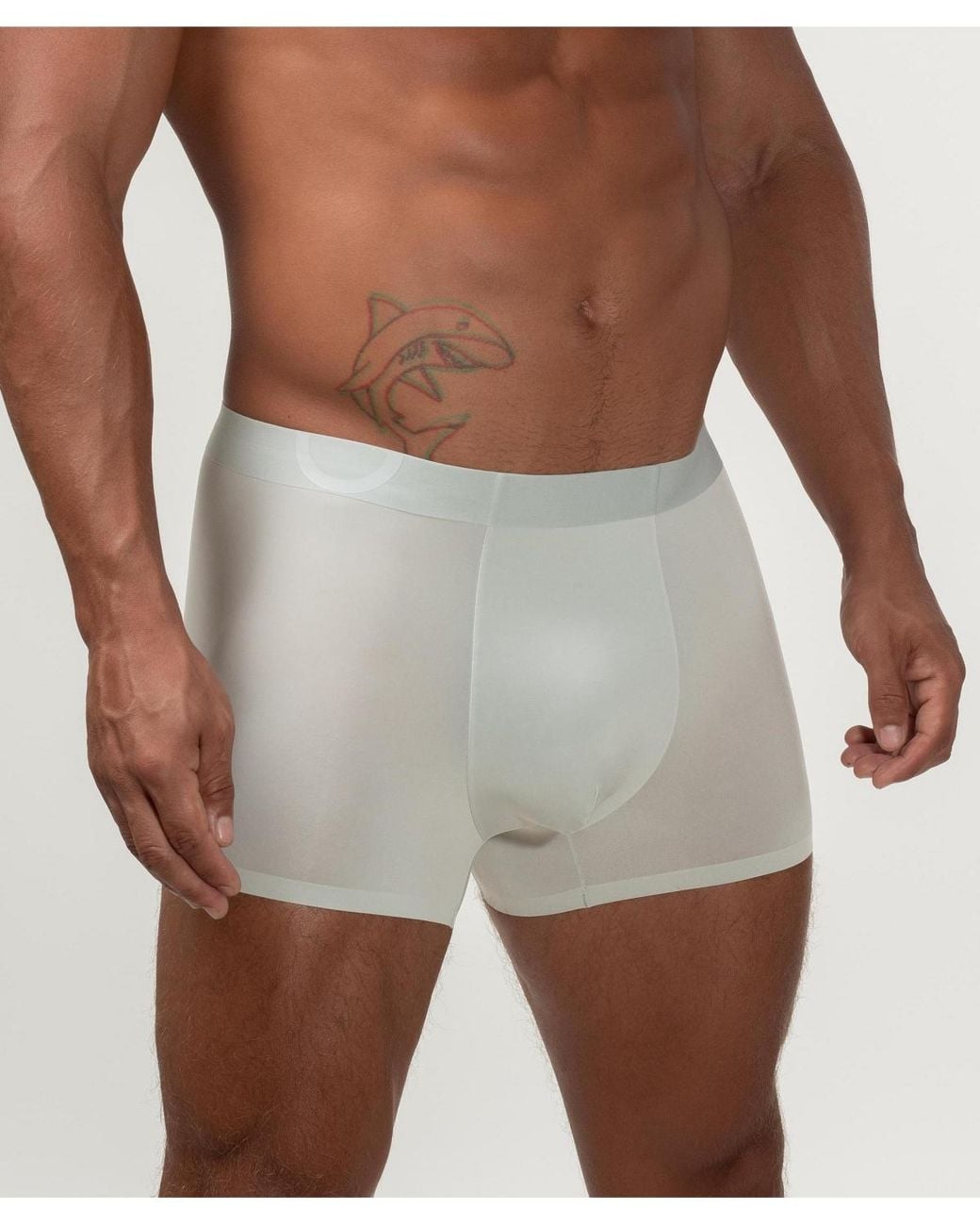 Rounderbum Gray Zero Tech Trunk for men