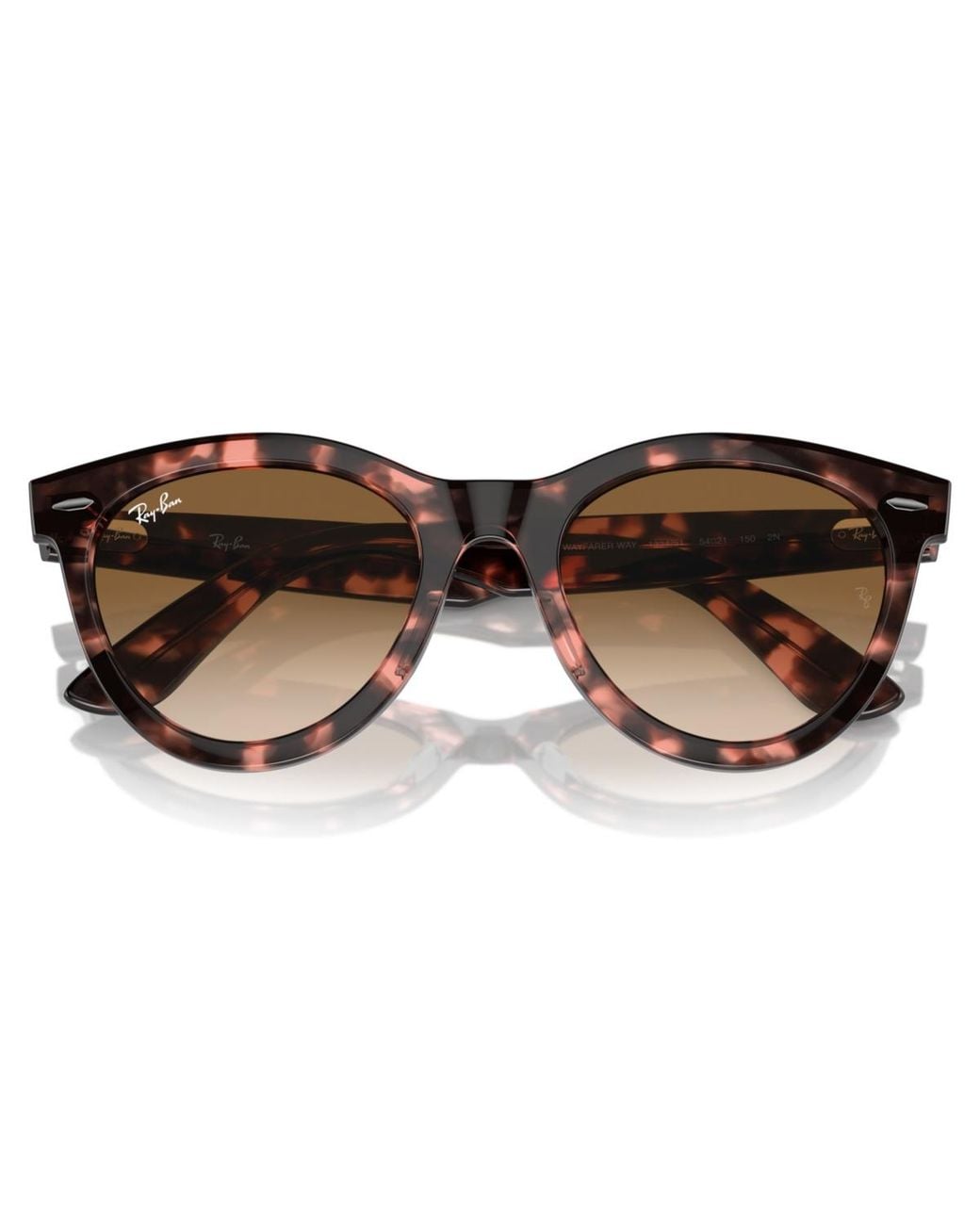 Ray-Ban Brown Sunglasses