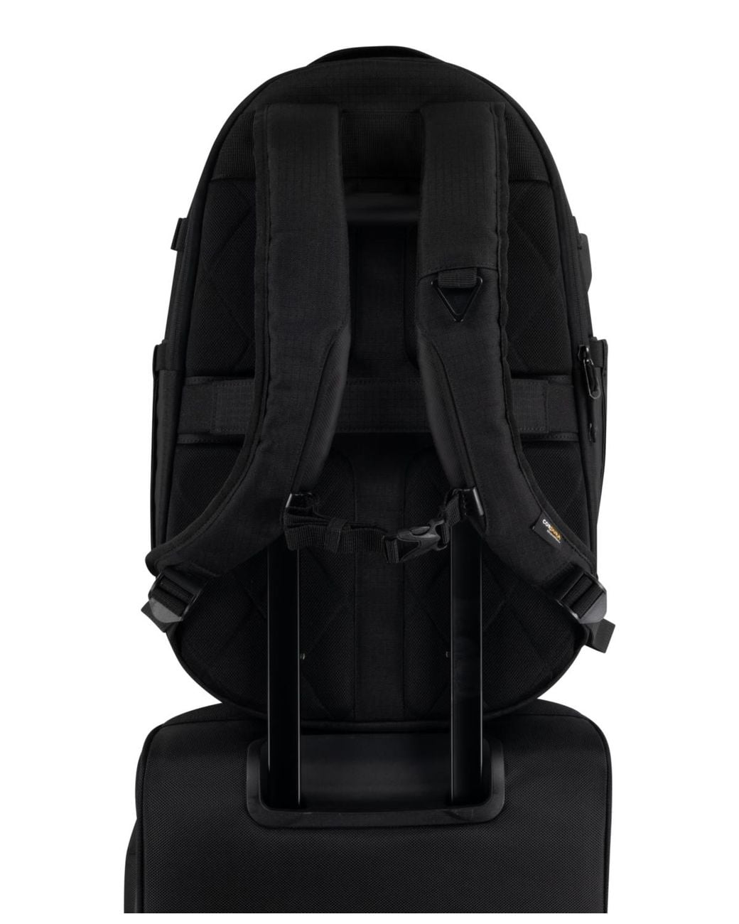 amazon jansport floral backpack Amazon.com | JanSport SuperBreak One Backpack - Durable, Lightweight Bag  with 1 Main Compartment, Front Utility Pocket with Built-in Organizer,  Premium Backpack, Flower Market
