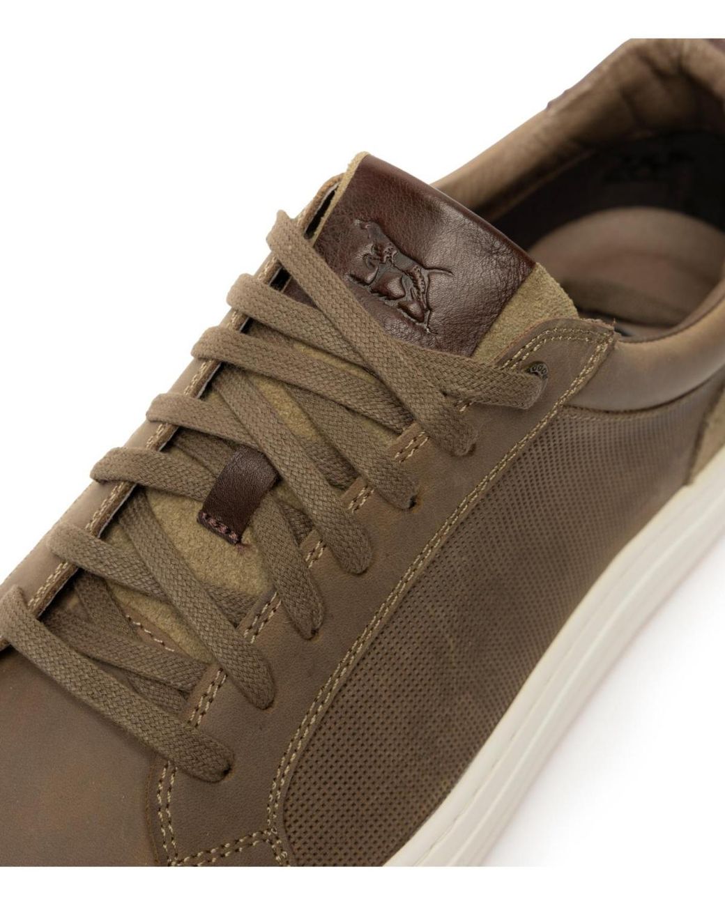 Rodd & Gunn Brown Transit Sneaker for men