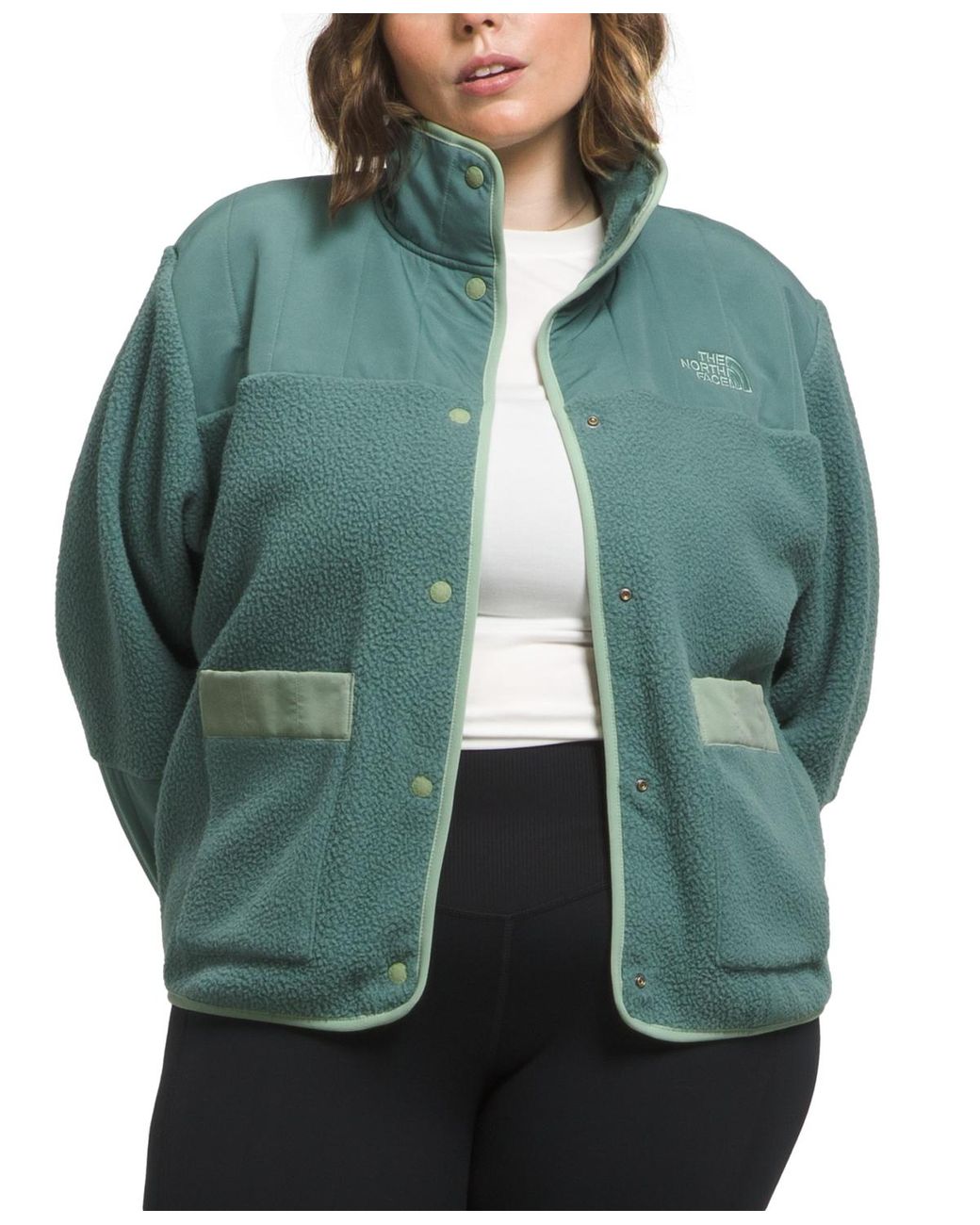 The North Face Plus Size Cragmont Snap-front Fleece Jacket in Green | Lyst