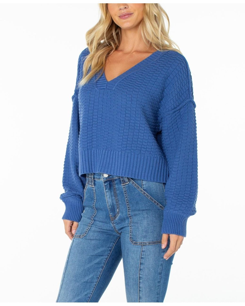 Roxy Blue Study Hall V-neck Knit Sweater