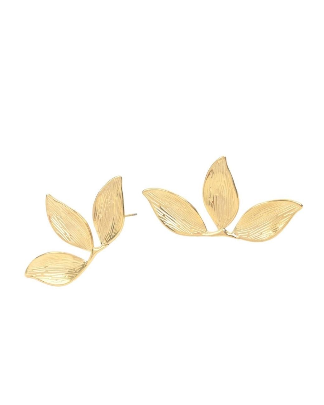 Starfish Project White Canopy Earrings