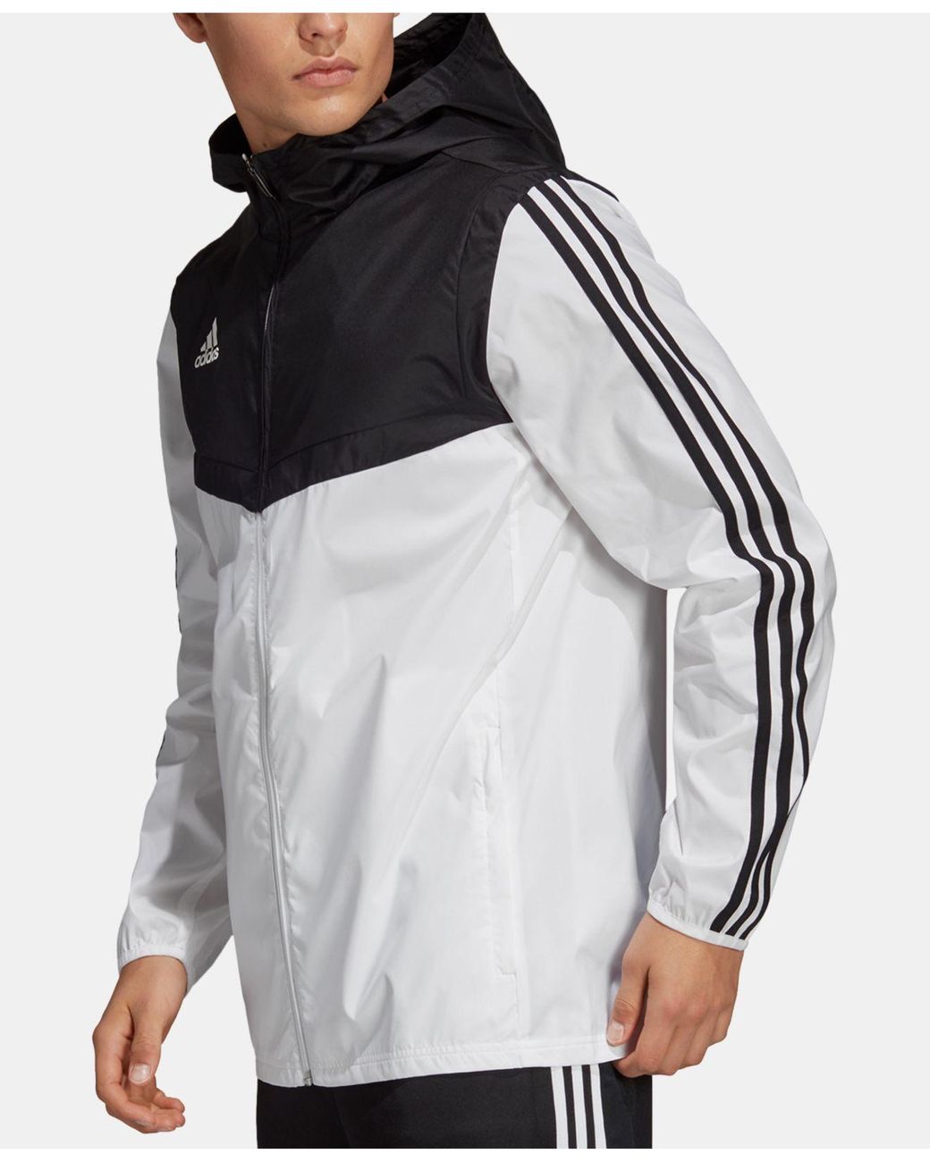 adidas windbreaker macys