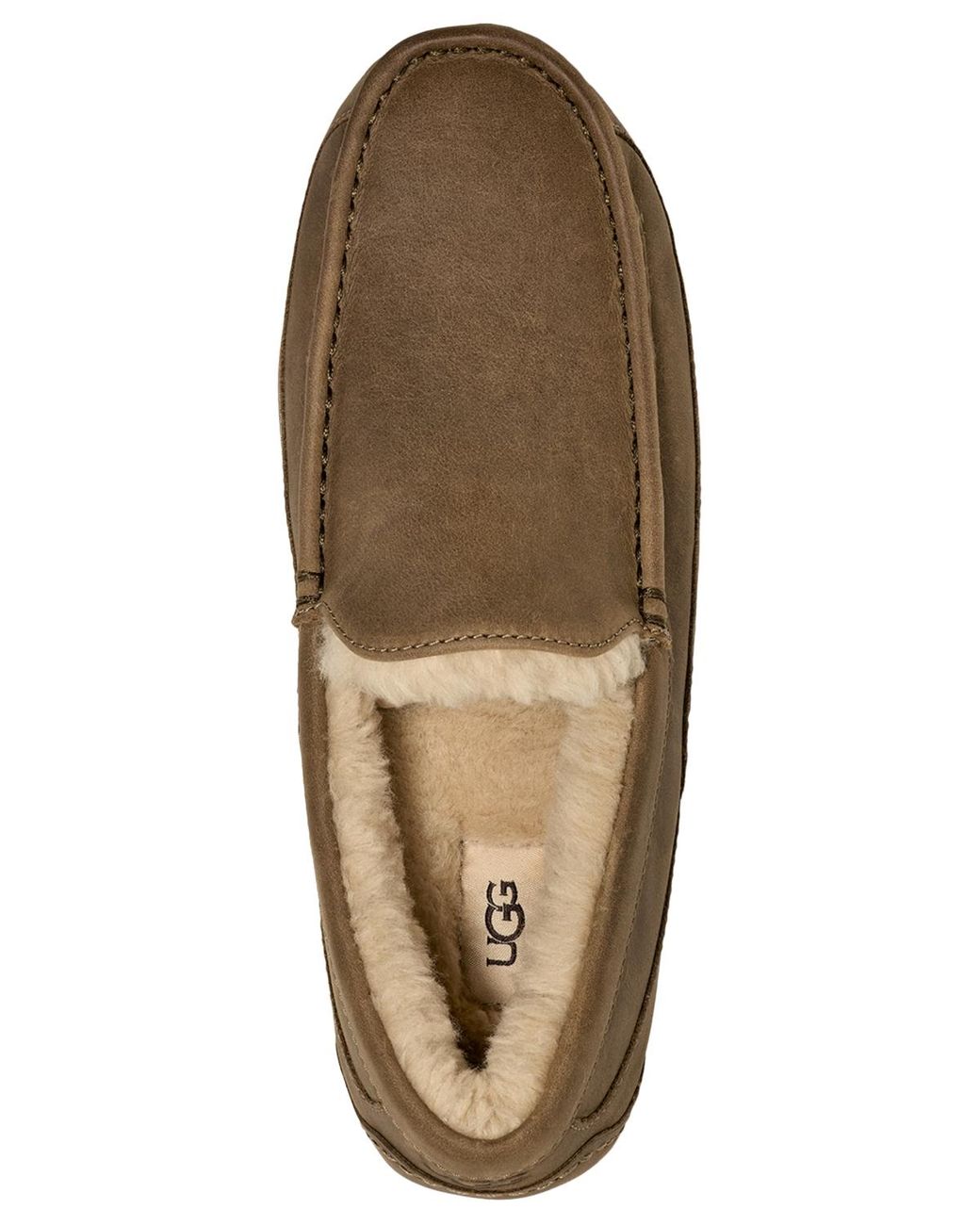 UGG Ascot Leather Plush lined Slipper in Brown for Men Lyst
