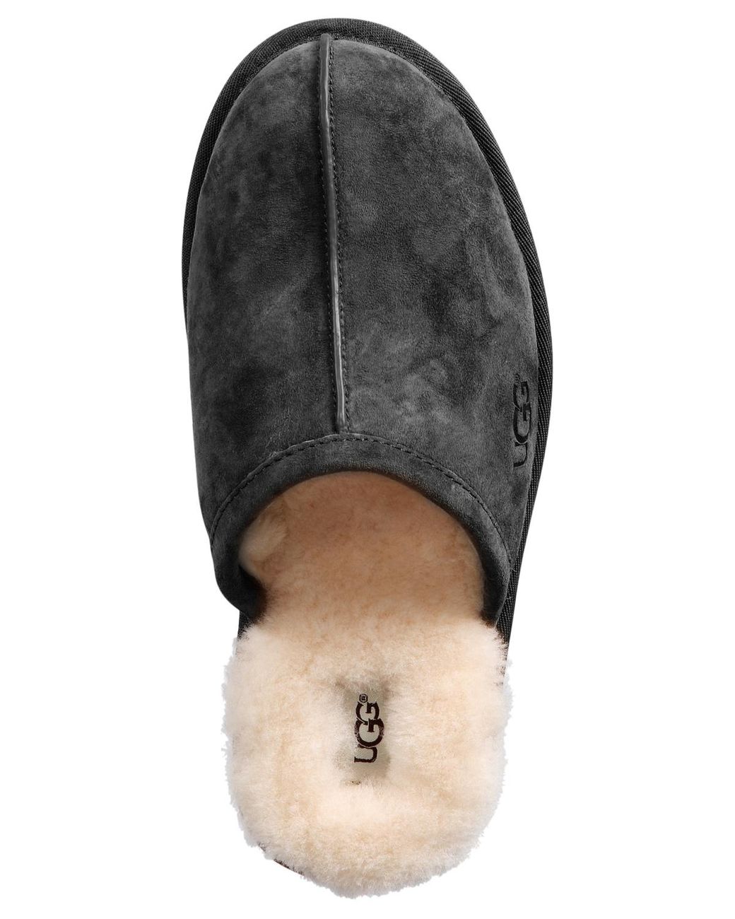 Ugg Scuff Black 18 for men