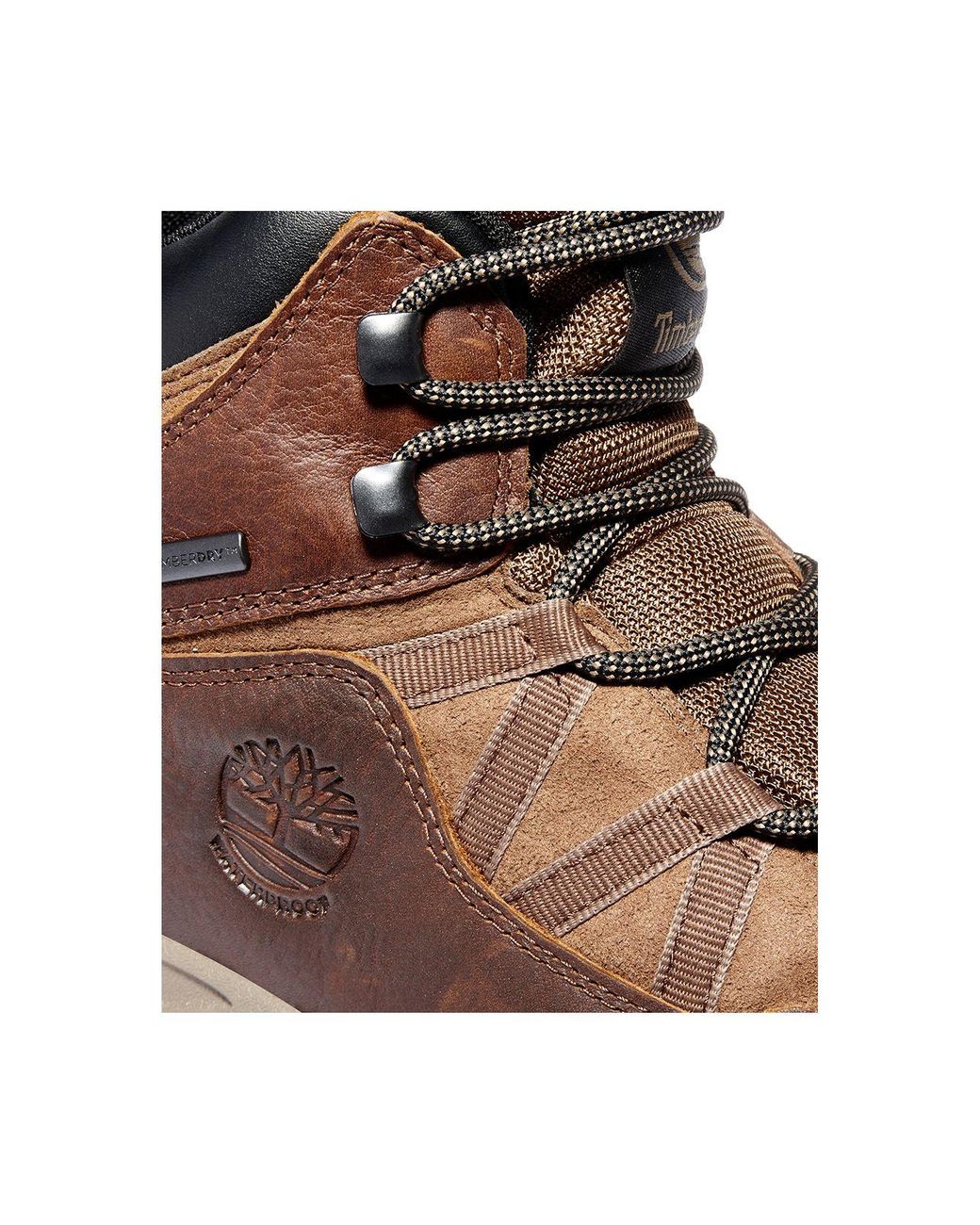 consumption Teaching Perpetual Timberland Mt. Major Ii Mid Waterproof Hiking Boots in Brown for Men | Lyst