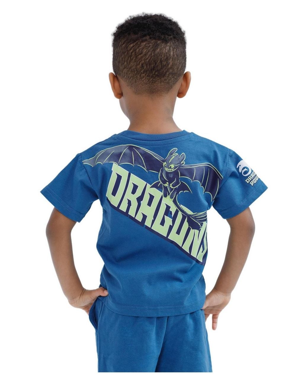 Toothness Dragon How To Train Your Dragon Toddler Boys Dreamworks Toothless T-shirt And ...