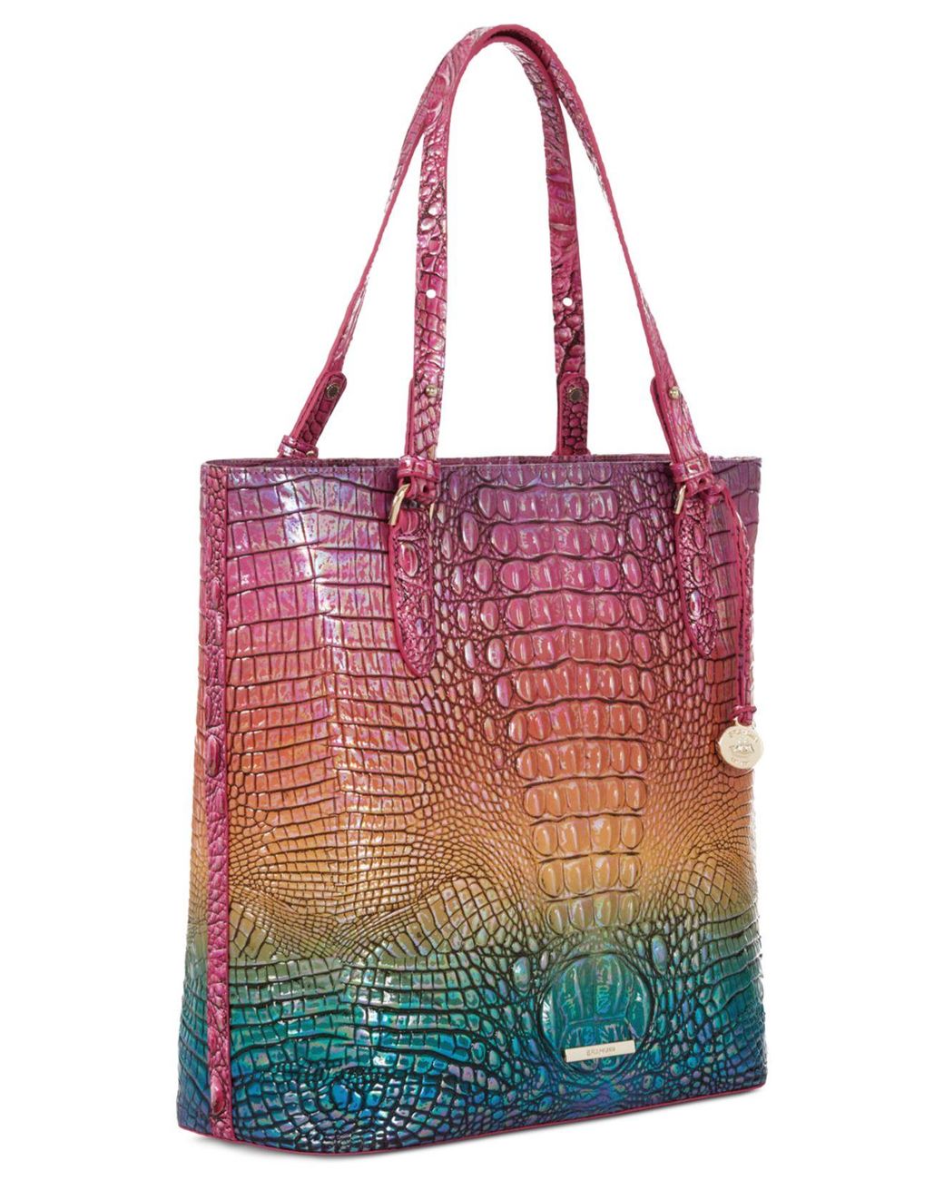 Brahmin Elaine Cotton Candy Ombre Melbourne Purse / Handbag 