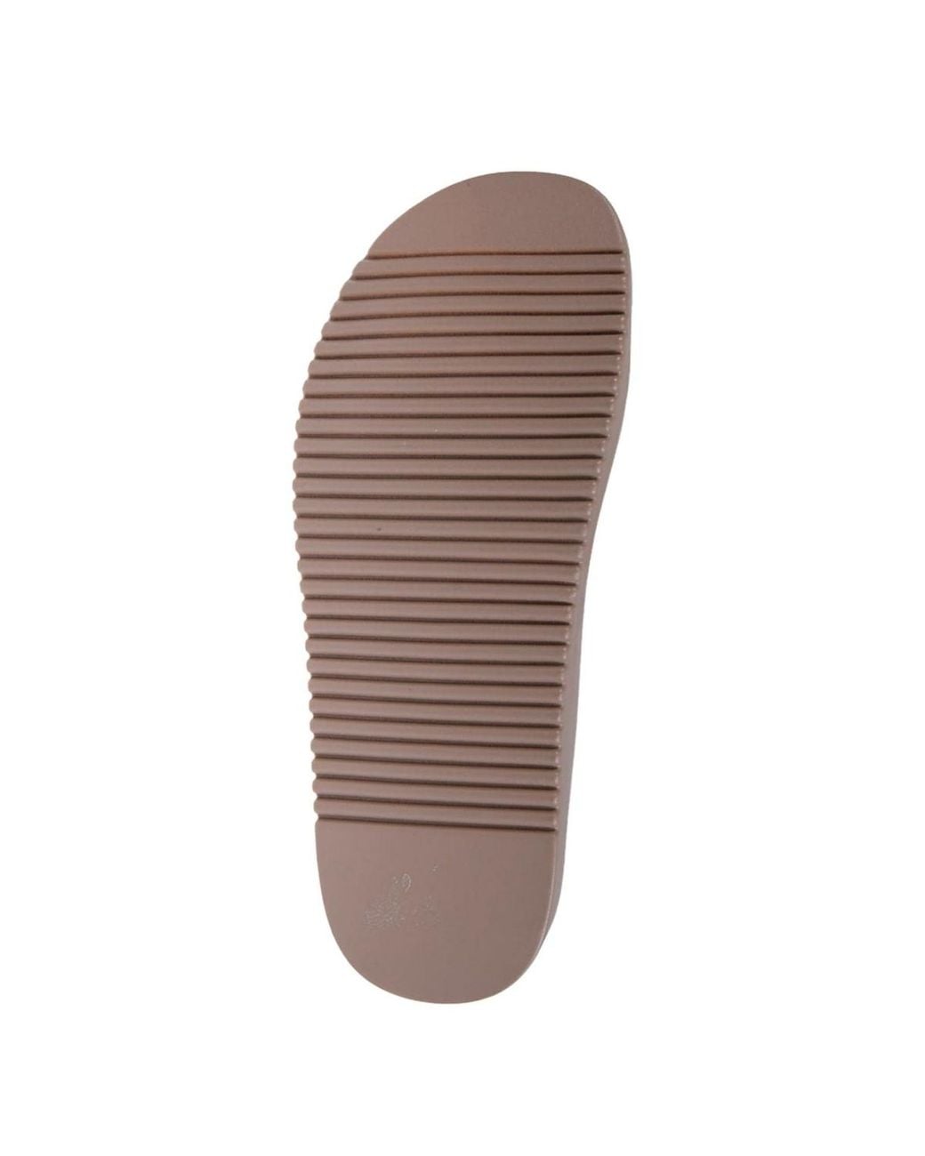 Bebe Brown Sandal