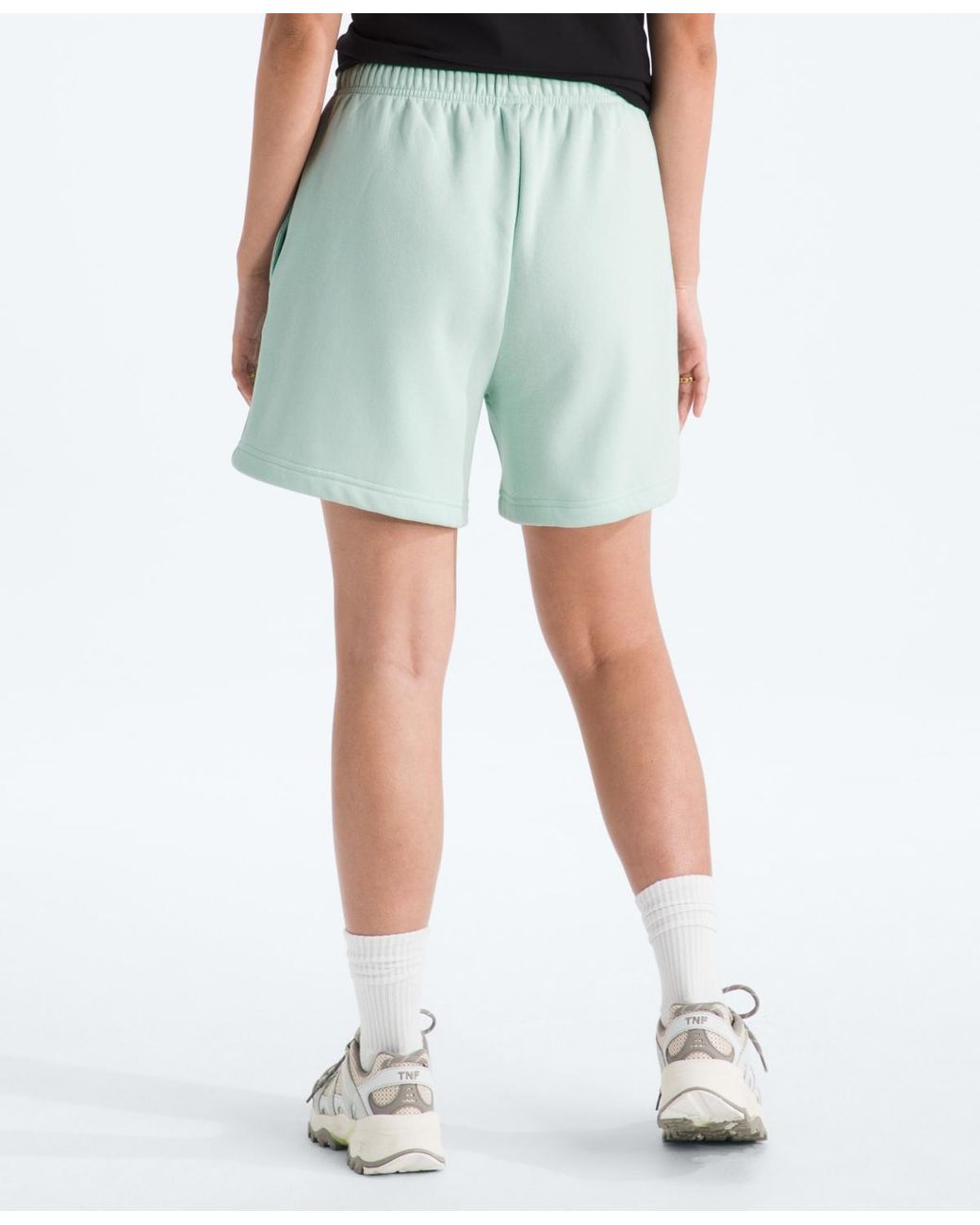 The North Face Multicolor Evolution Simple Dome Regular Shorts