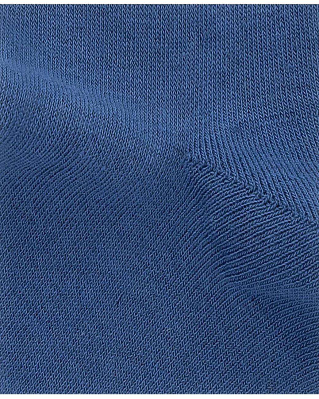 Polo Ralph Lauren Winter Floral Crew Socks in Blue | Lyst