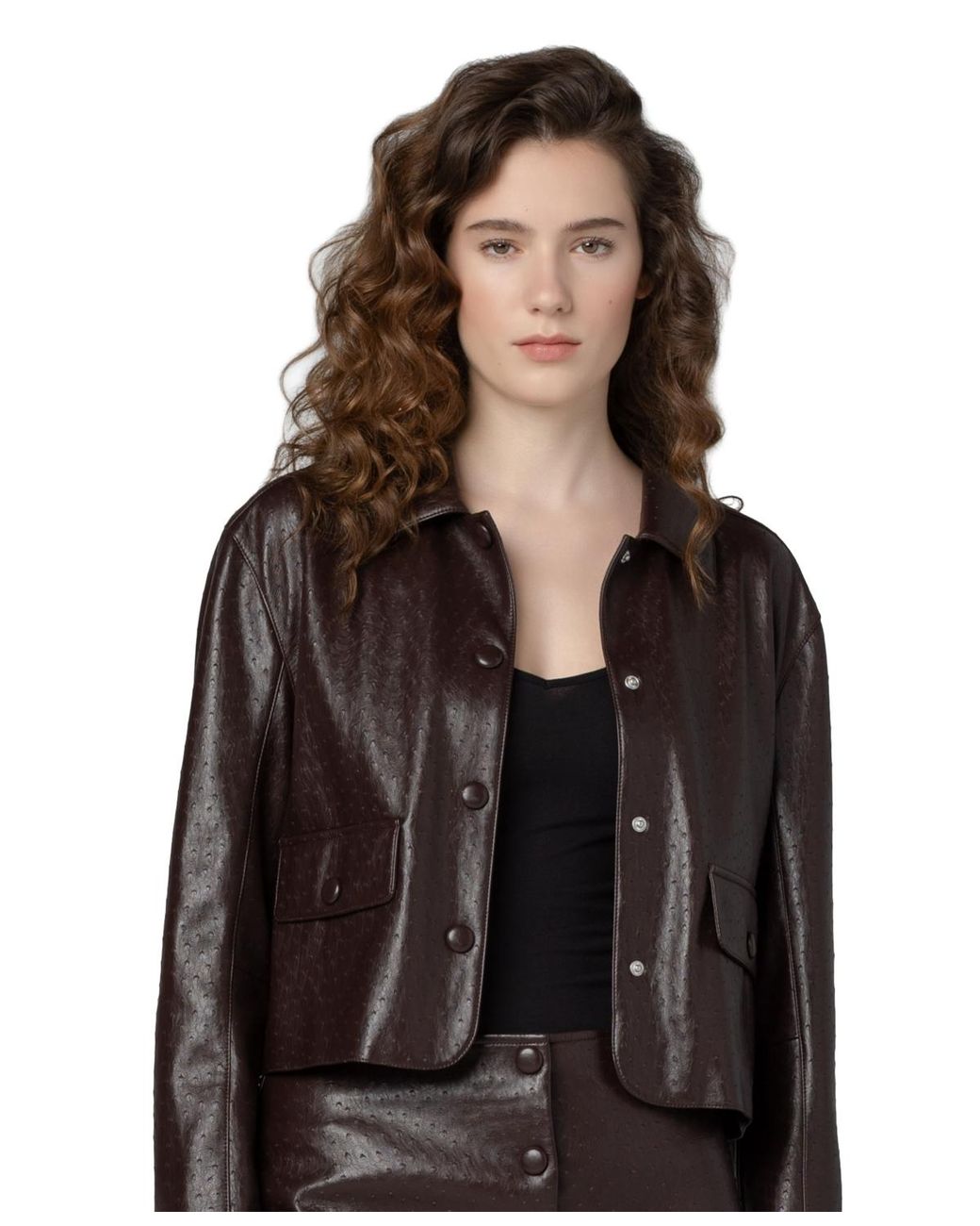 Blank NYC Black Collared Neck Jacket