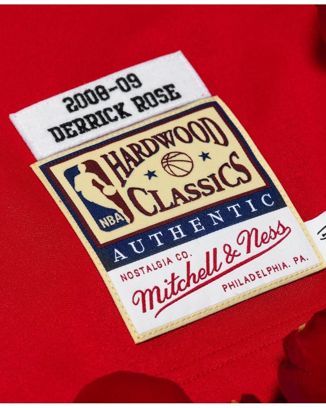Mitchell & Ness Derrick Rose Chicago Bulls 2008-09 Authentic Jersey in ...