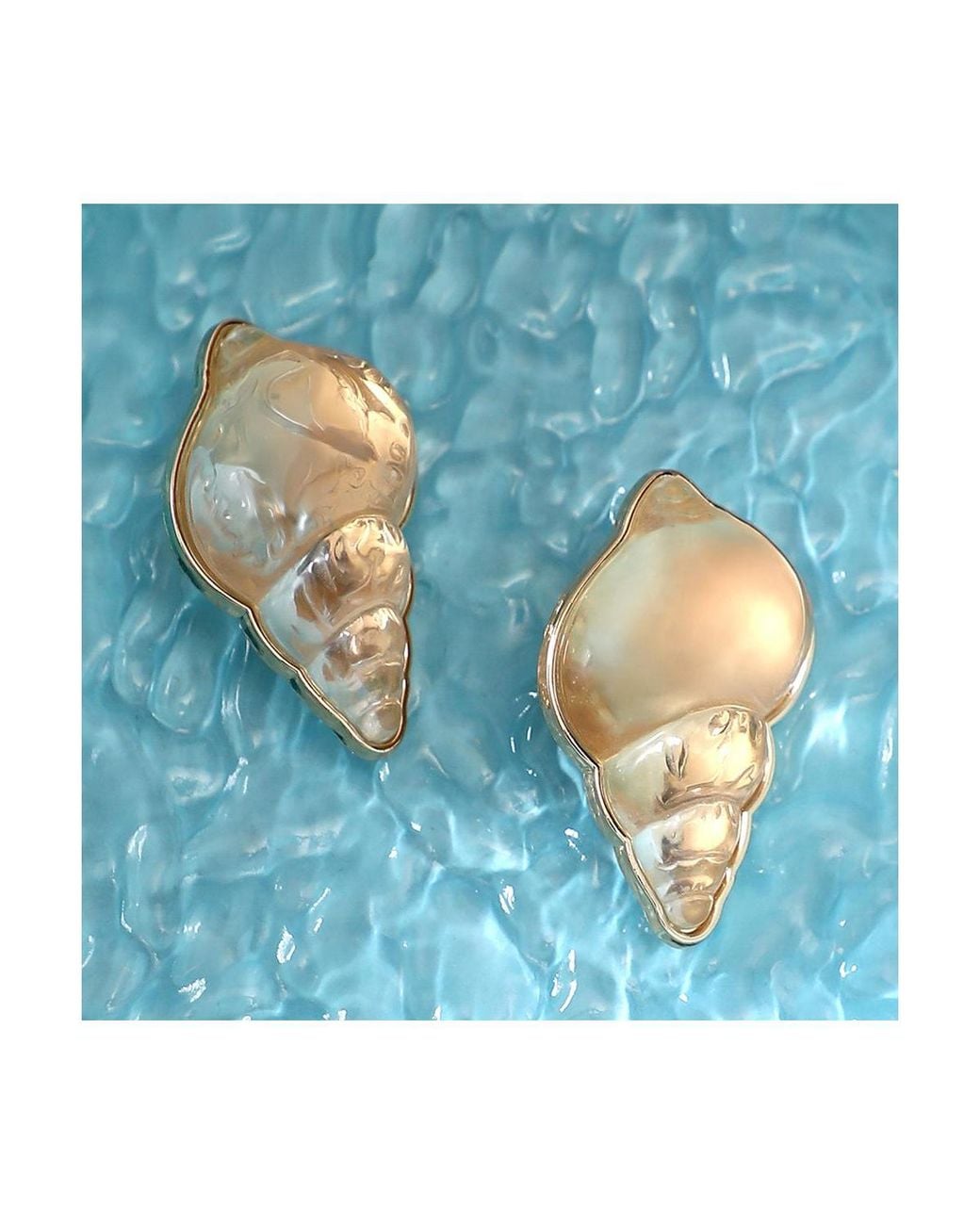 SOH Metallic The Translucent-conchiglia Statement Earrings