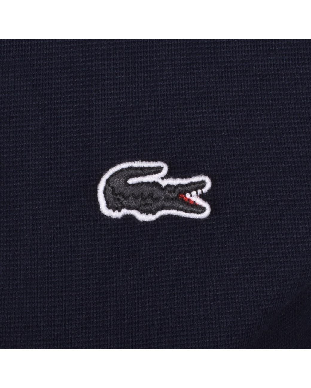 Lacoste Blue Long Sleeve Polo T Shirt for men