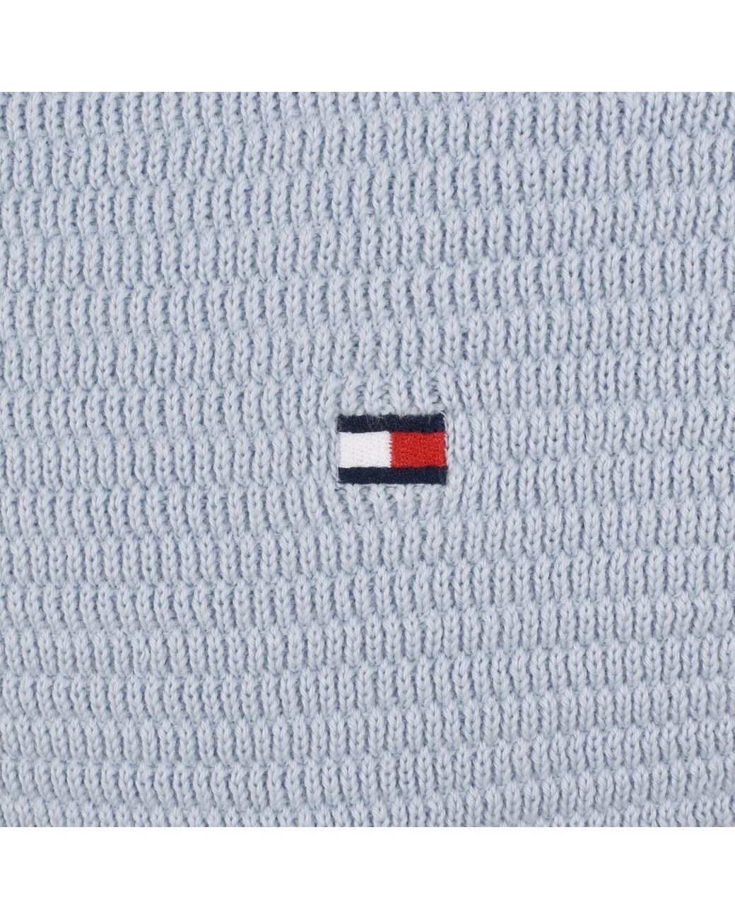 Tommy Hilfiger Blue Structure Knit Polo for men