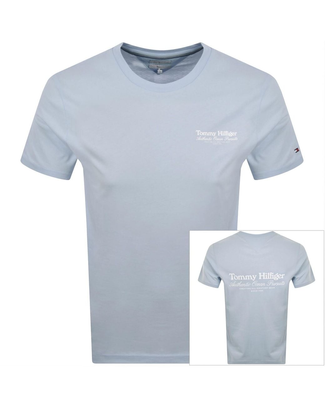 Tommy Hilfiger Blue Back Graphic T Shirt for men