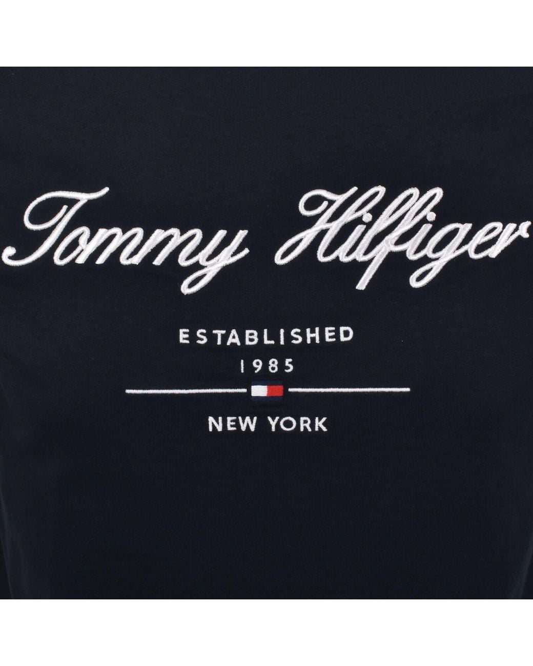 Tommy Hilfiger Black Script Logo T Shirt for men