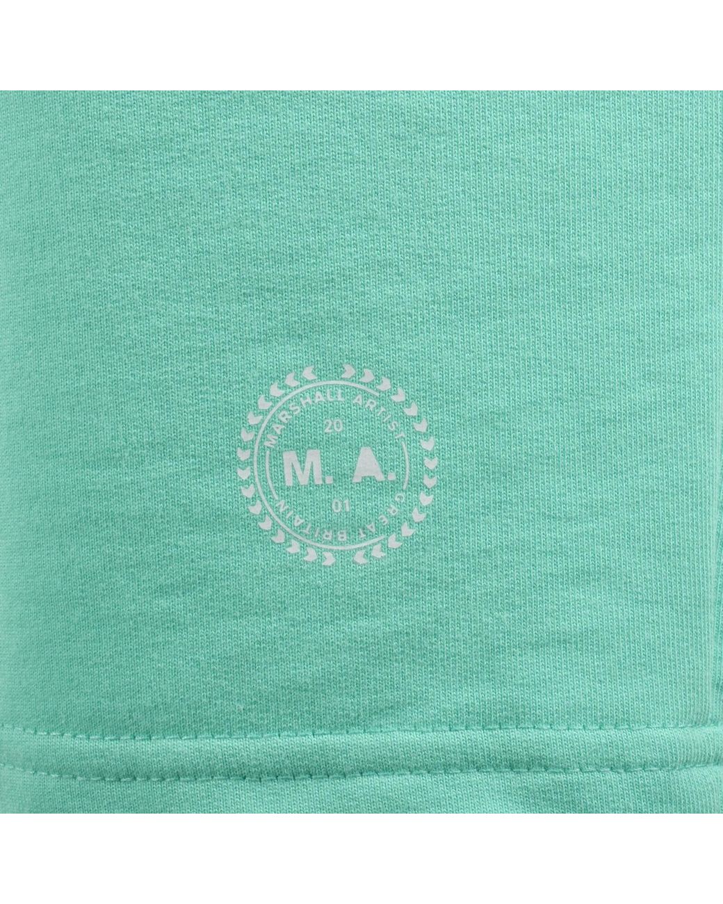 Marshall Artist Green Delta Print Logo Shorts for men