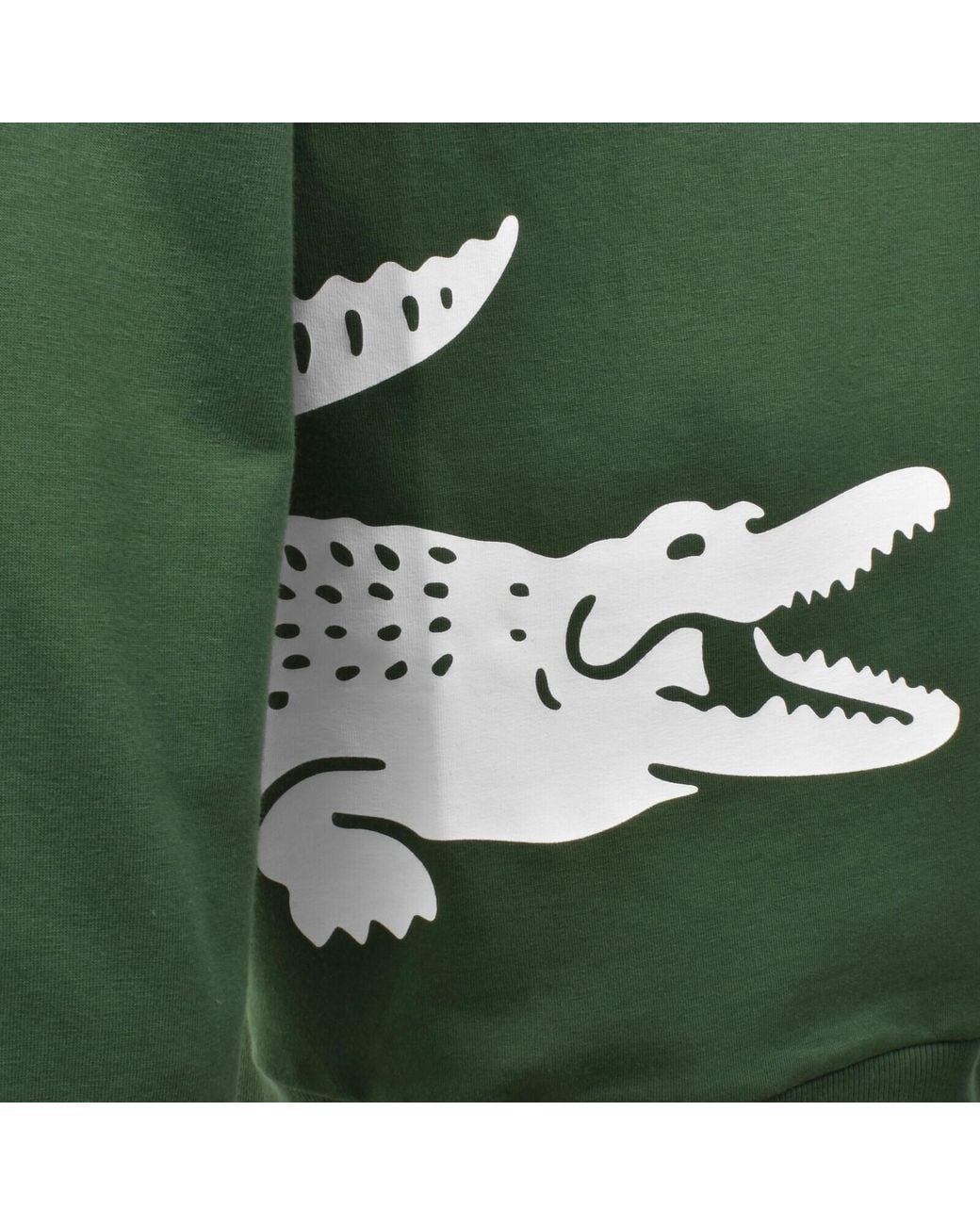 Lacoste Green Logo Sweatshirt for men