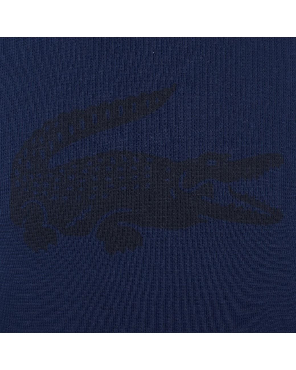 Lacoste Blue Lounge Waffle Hoodie for men