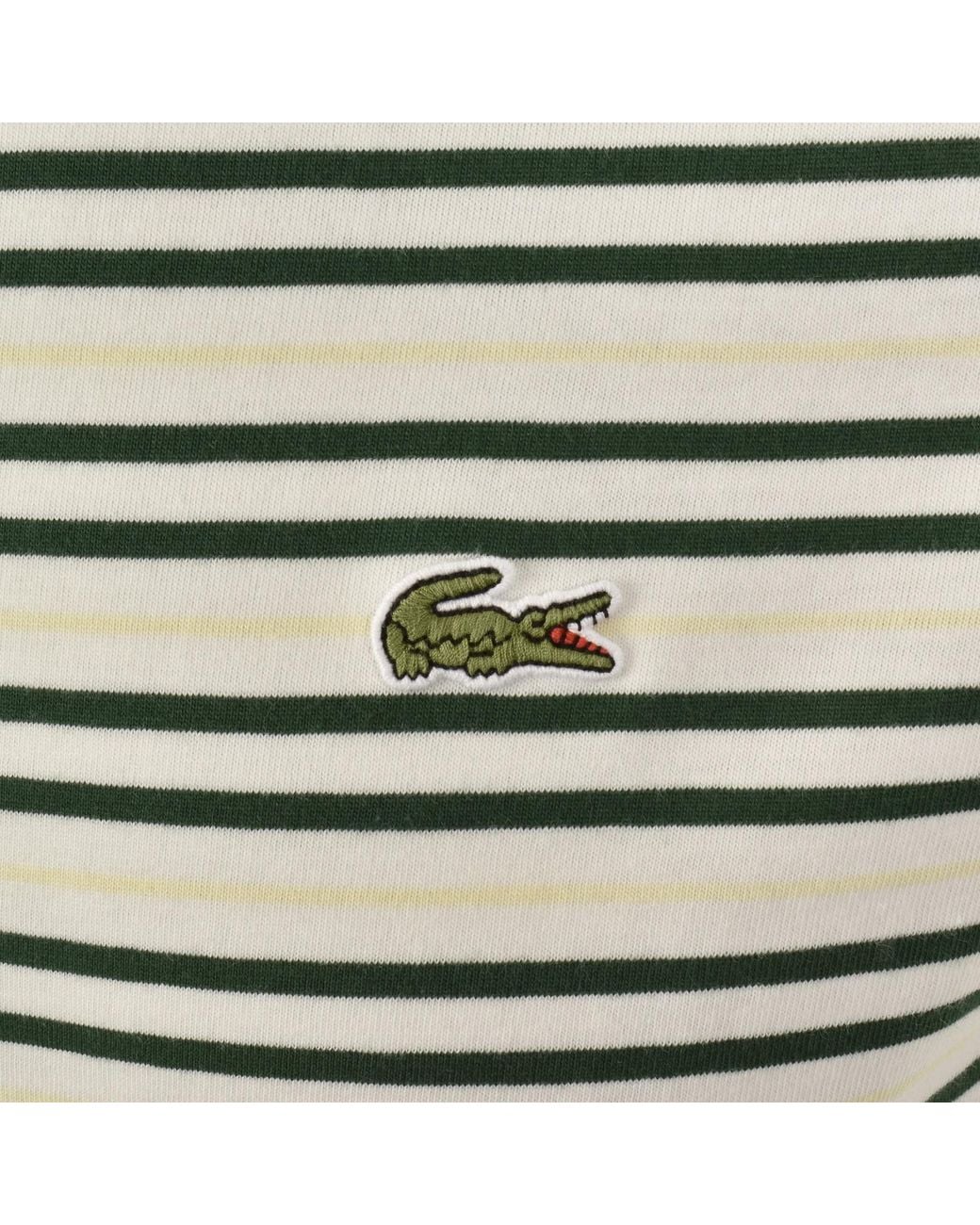 Lacoste White Stripe T Shirt for men