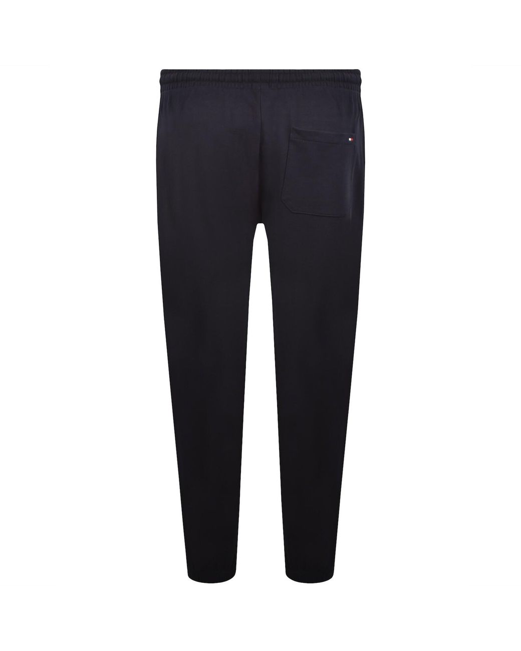 Tommy Hilfiger Blue Global Stripe Joggers for men