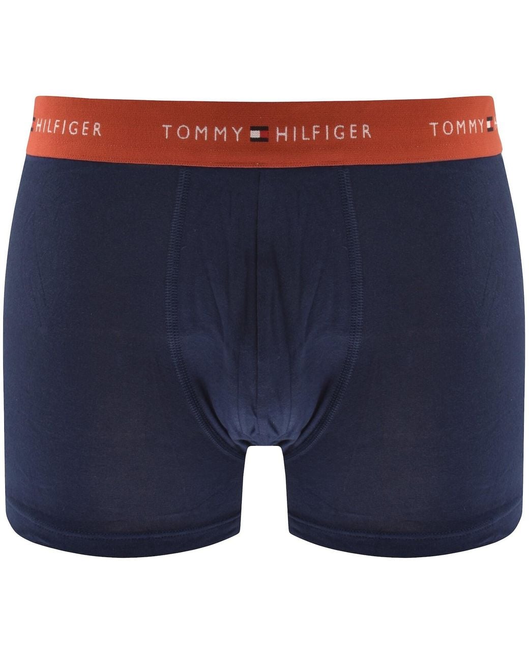 Tommy Hilfiger Blue Underwear 3 Pack Trunks for men