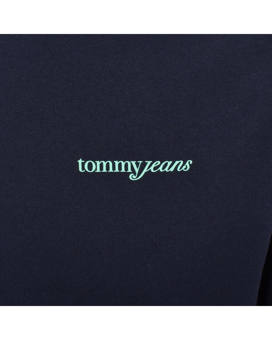 Tommy Hilfiger Blue Blur Script Hoodie for men