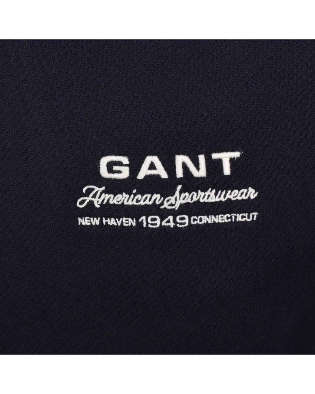 Gant Blue Small Graphic Hoodie for men