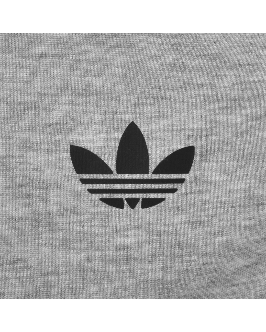 Adidas Originals Gray Spacer Hoodie for men