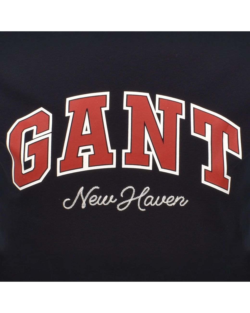 Gant Blue Original Graphic T Shirt for men