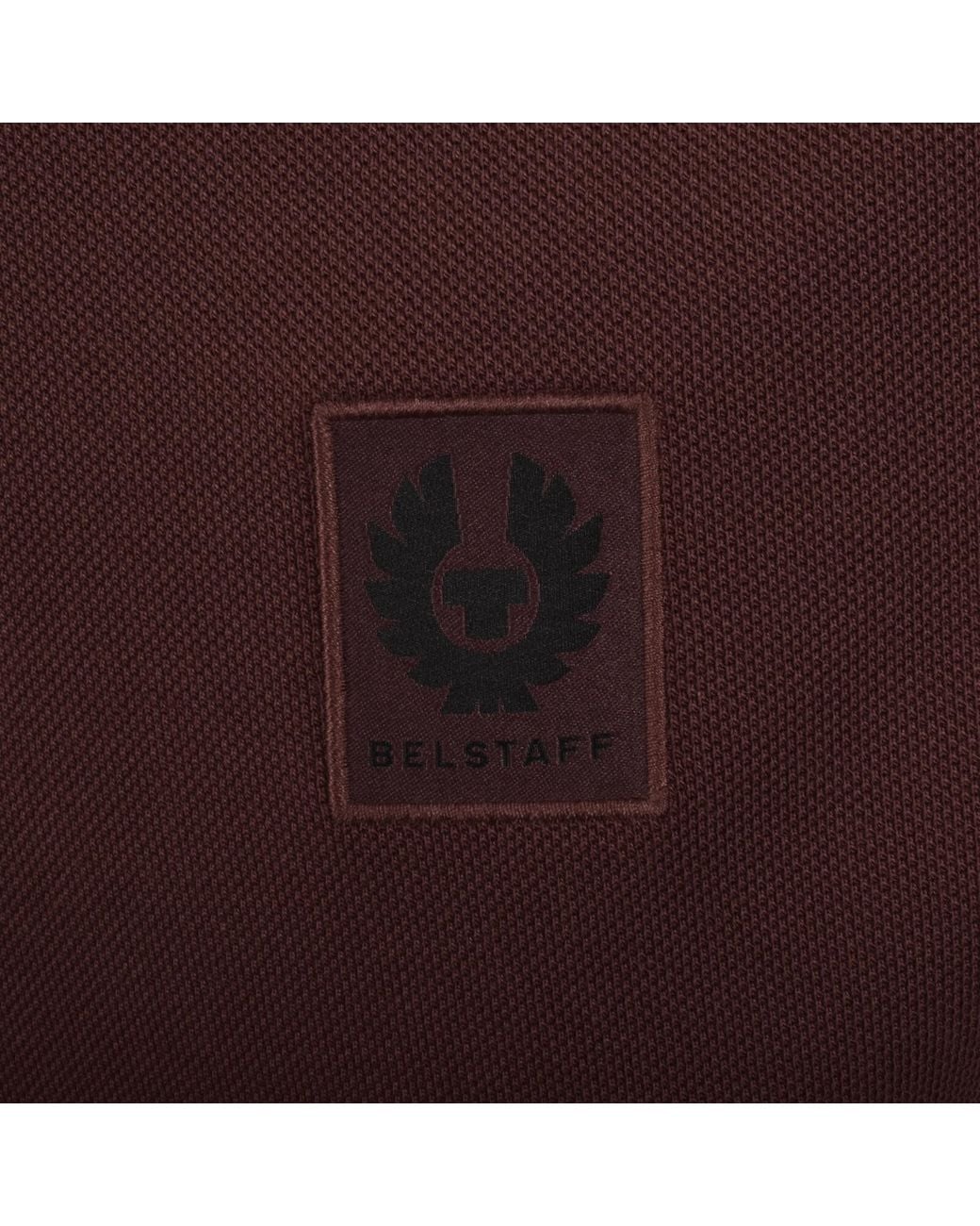 Belstaff Purple Tipped Polo T Shirt for men