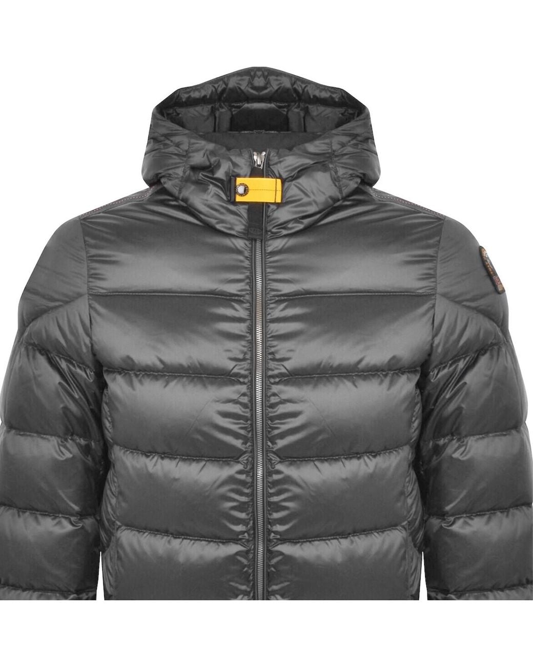 Parajumpers Gray Pharrell Jacket for men