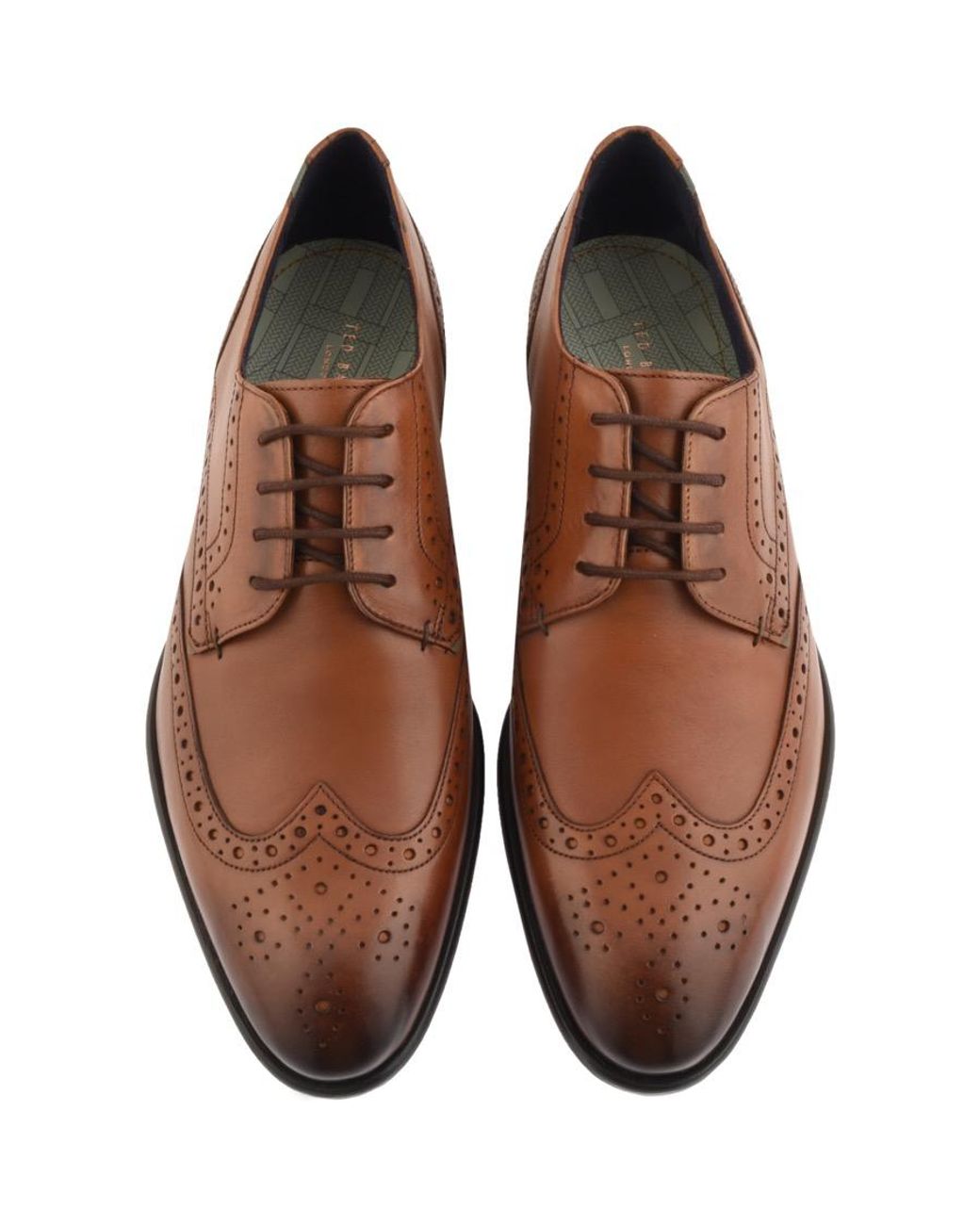 Ted Baker Trvss Brogues Shoes in Brown 