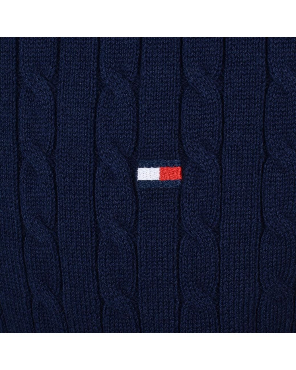 Tommy Hilfiger Blue Cable Knit Polo for men