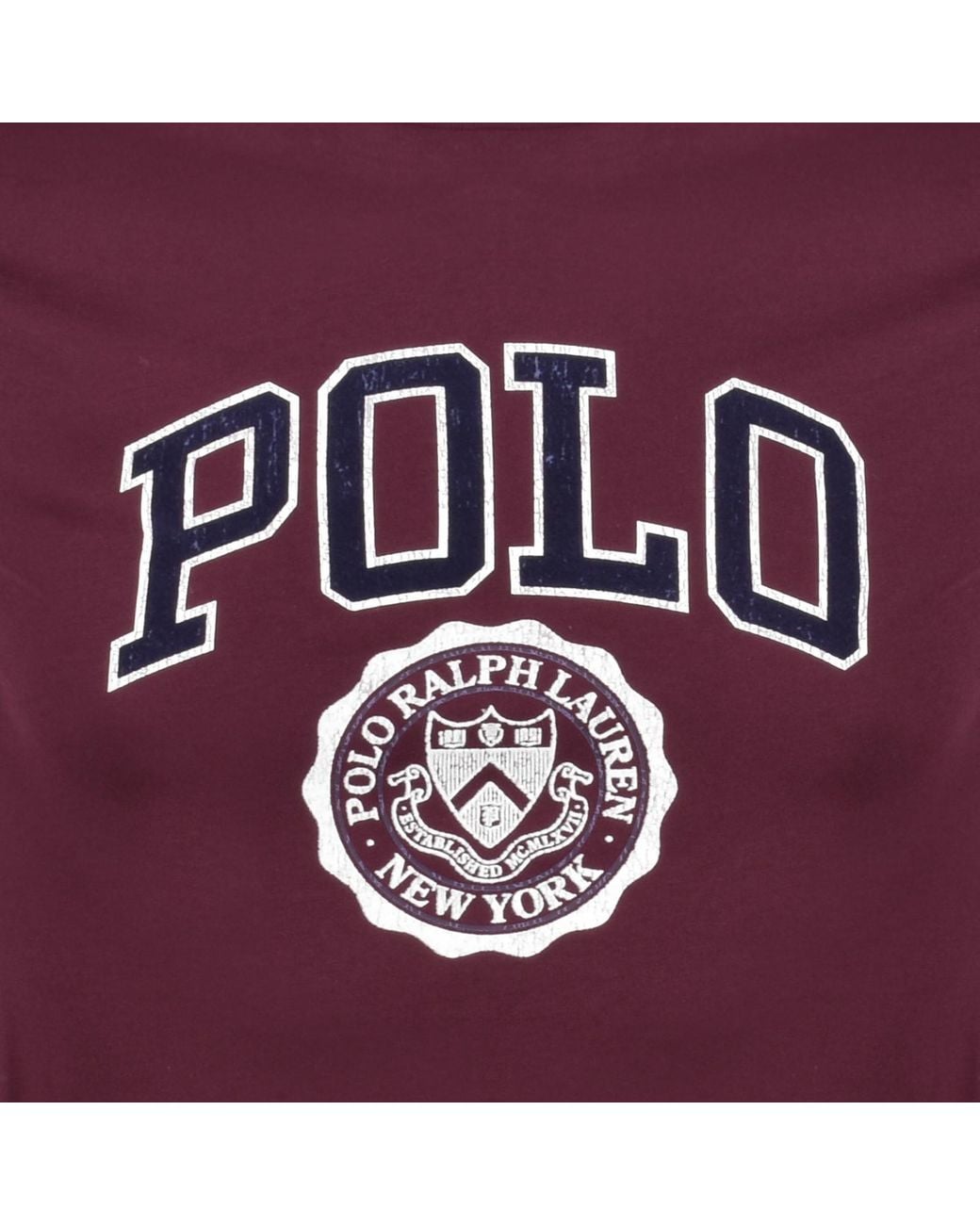 Ralph Lauren Purple Logo Crew Neck T Shirt for men