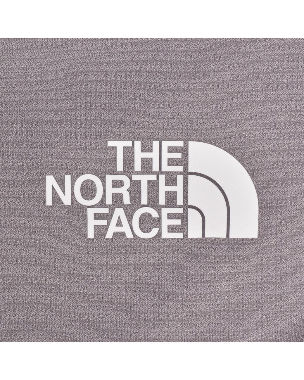 The North Face Purple 24/7 Box T Shirt for men