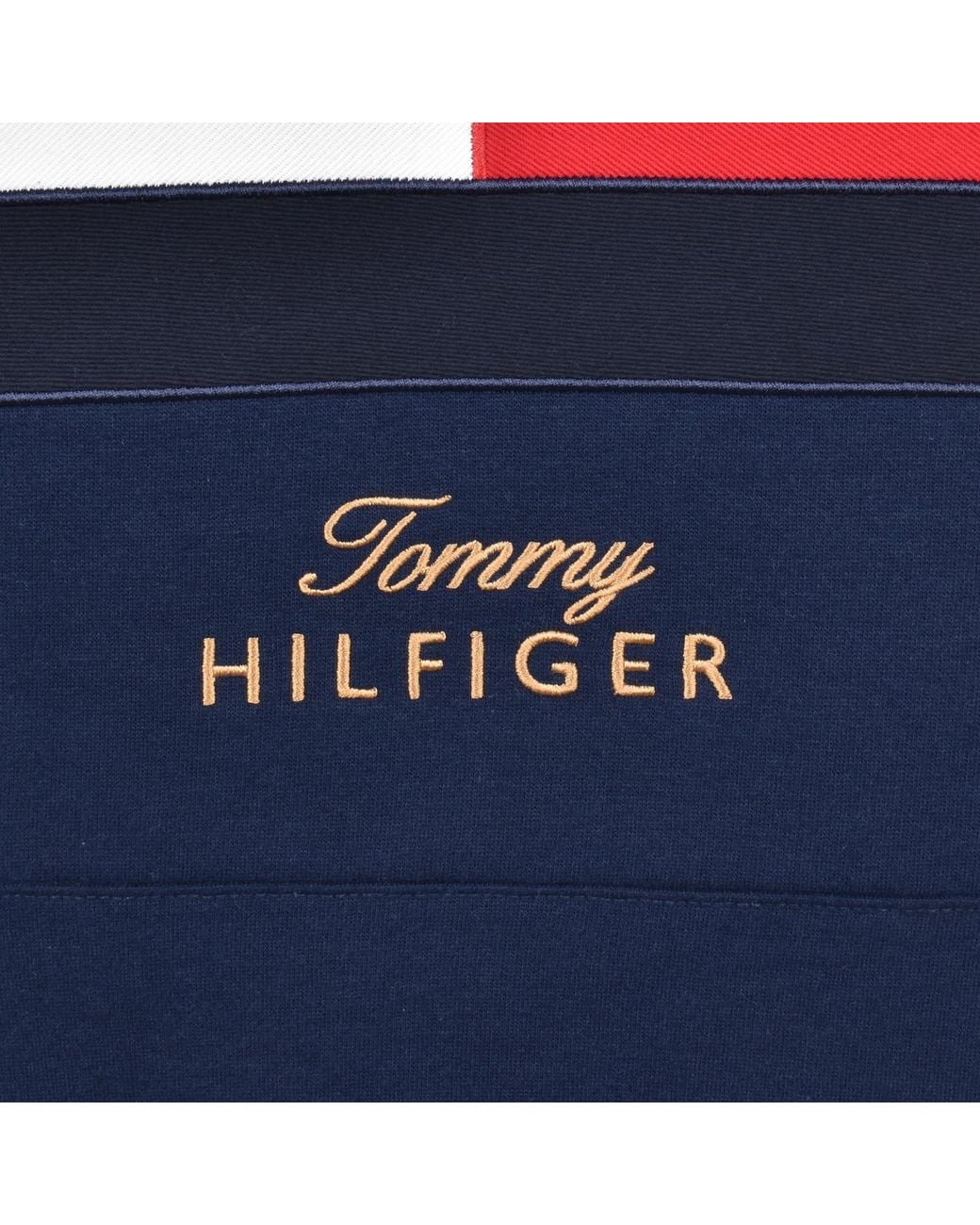 Tommy Hilfiger Blue Gifting Flag Hoodie for men