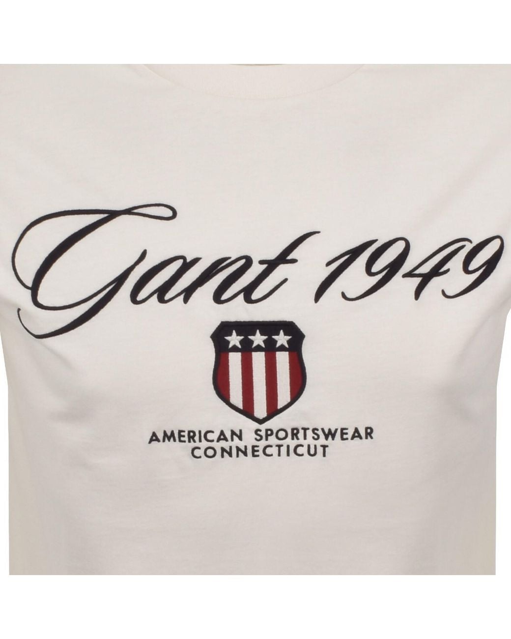 Gant Gray Graphic T Shirt for men