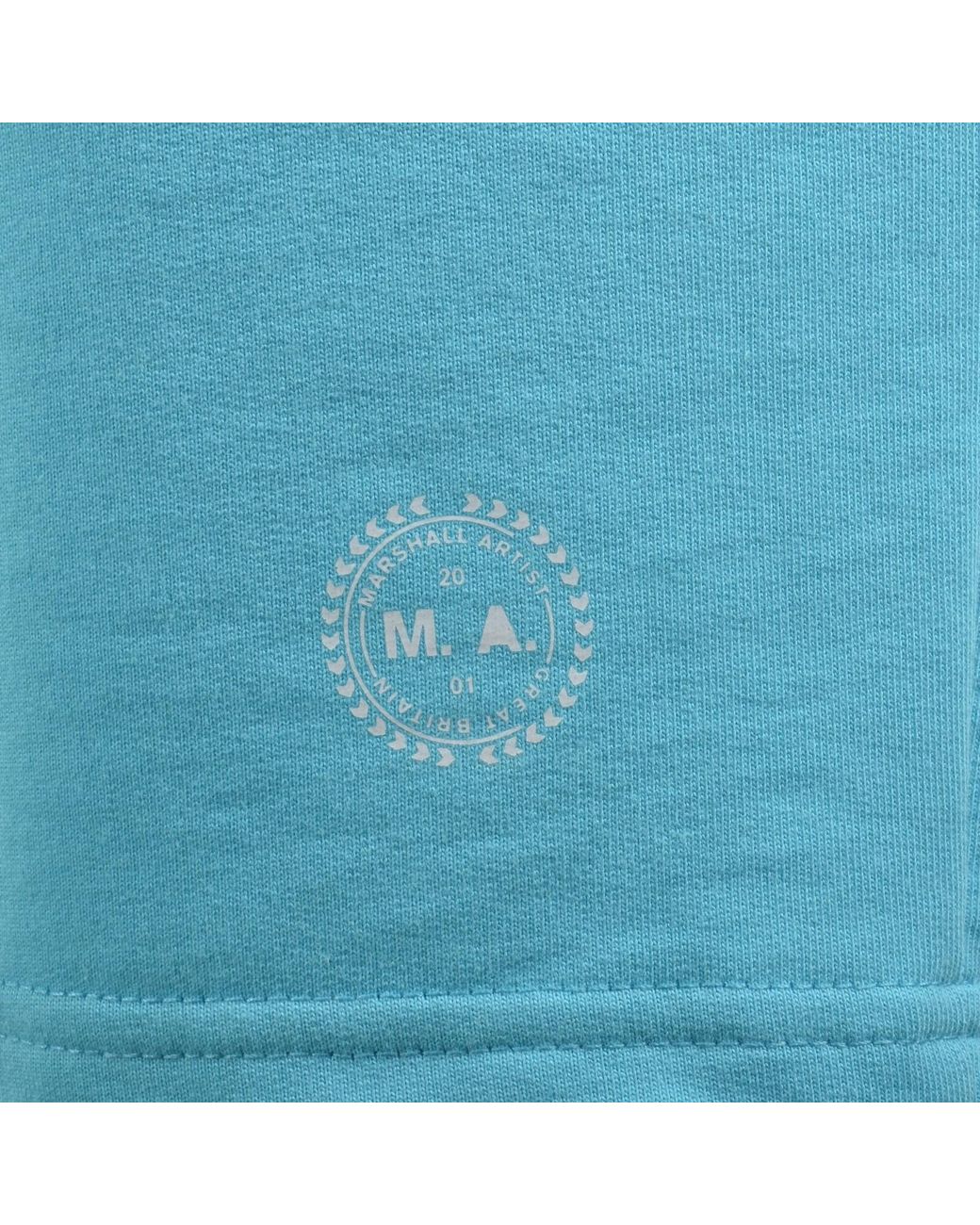 Marshall Artist Blue Delta Print Logo Shorts for men