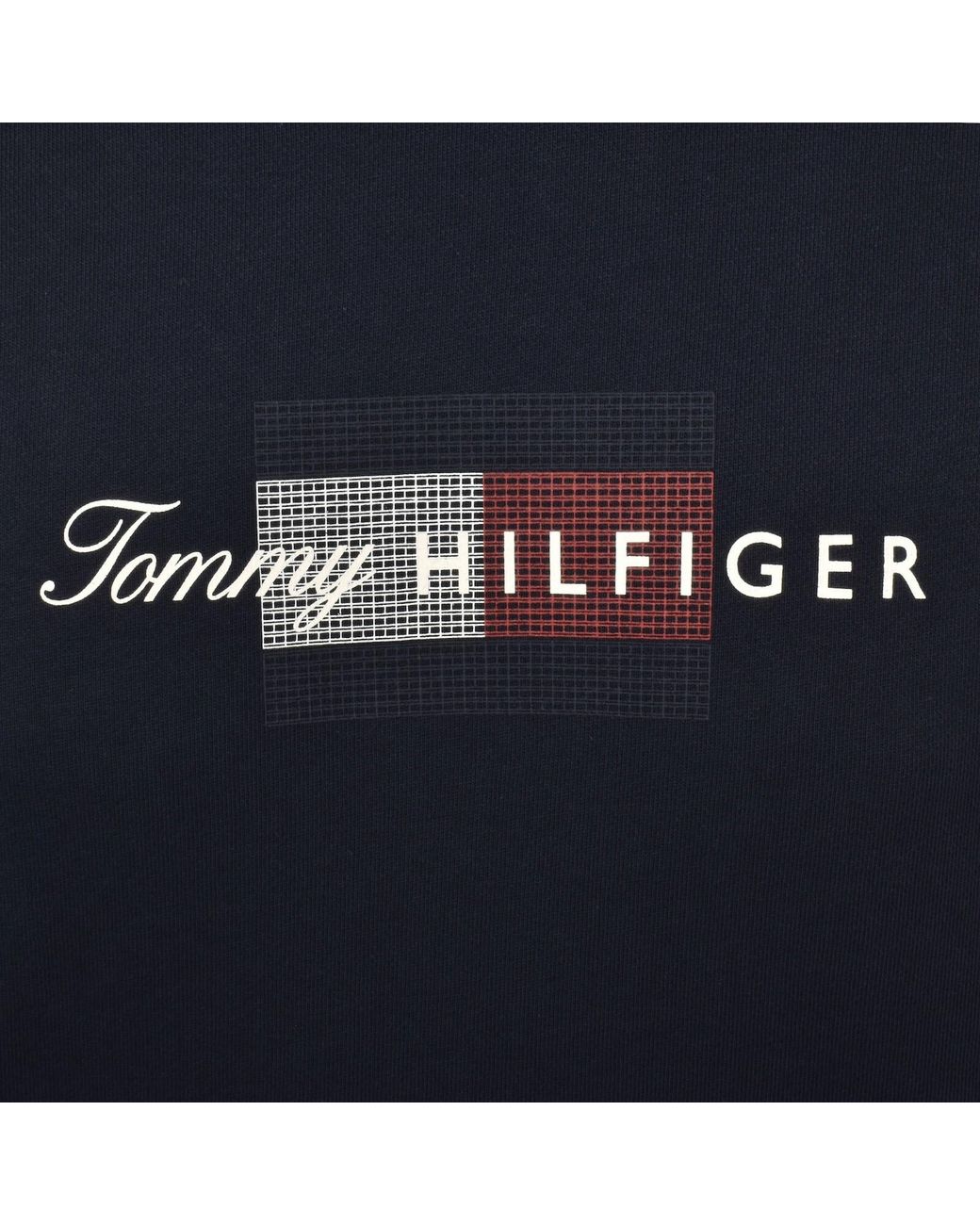 Tommy Hilfiger Blue Script Flag Hoodie for men