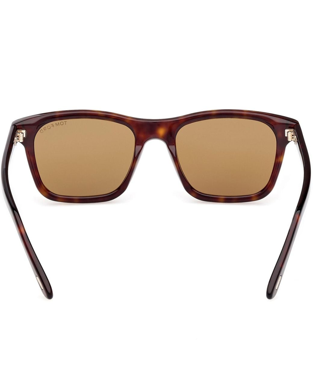 Tom Ford Brown Barron Sunglasses for men