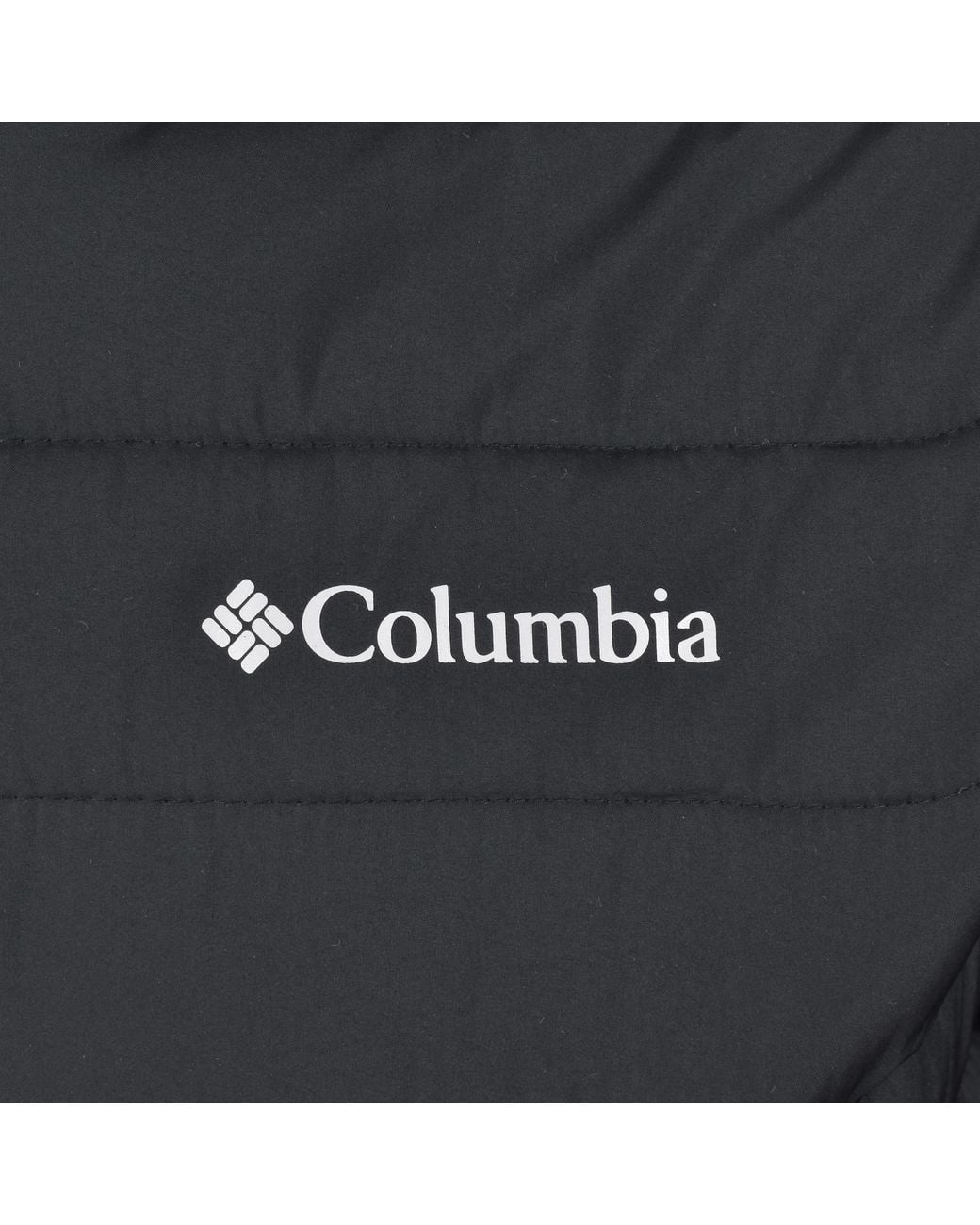 Columbia Gray Powder Lite Ii Hooded Jacket for men